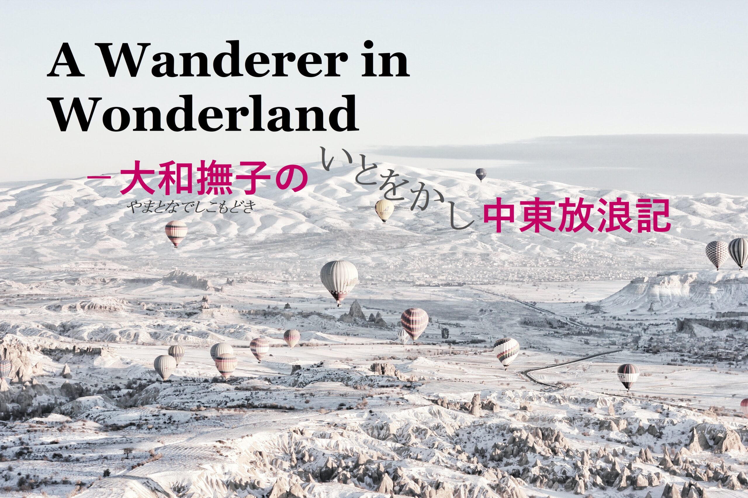 不思議の国の中東 大和撫子の中東放浪記 A Wanderer In Wonderland