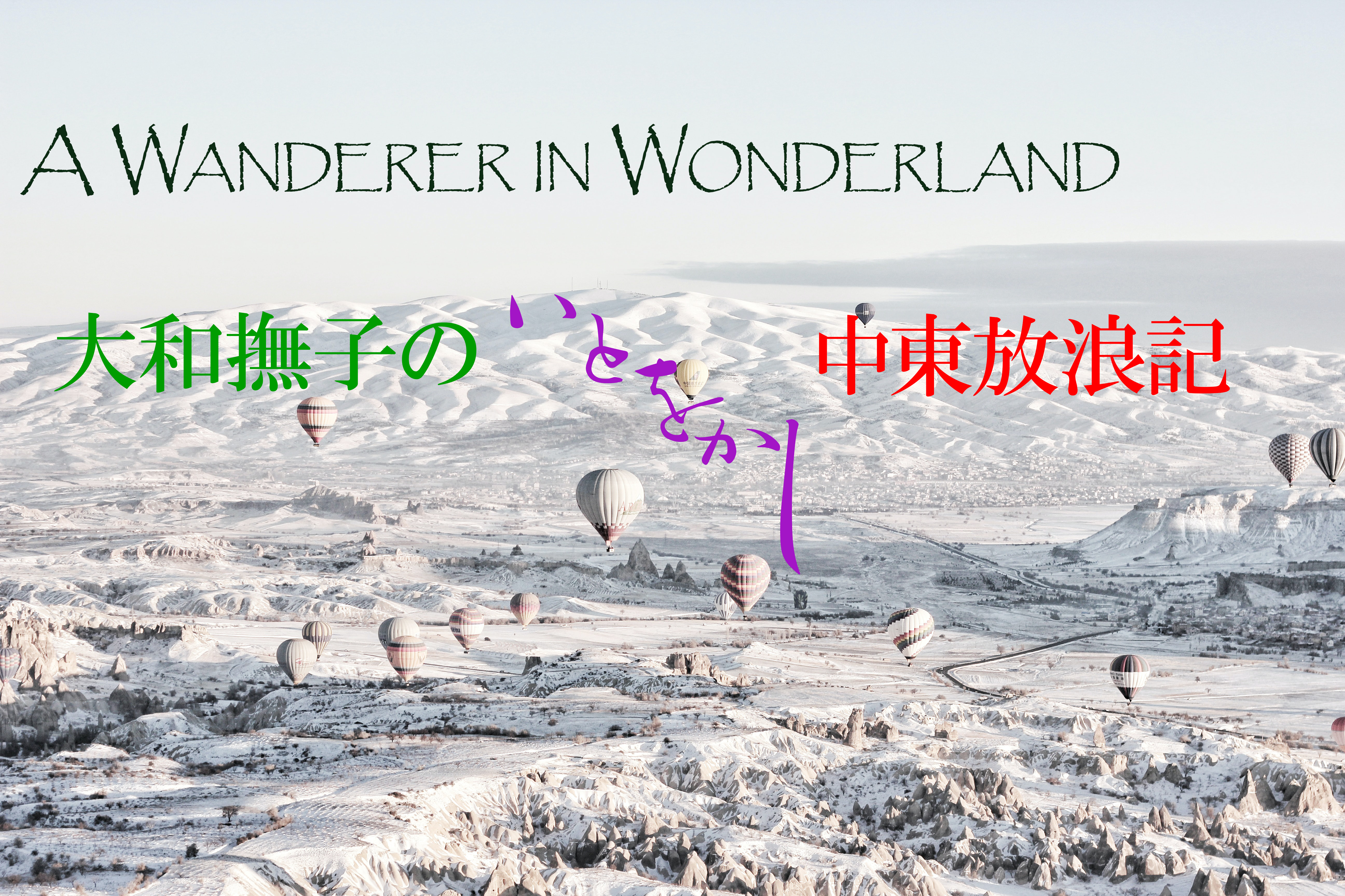 A Wanderer in Wonderland - 大和撫子のいとをかし中東放浪記