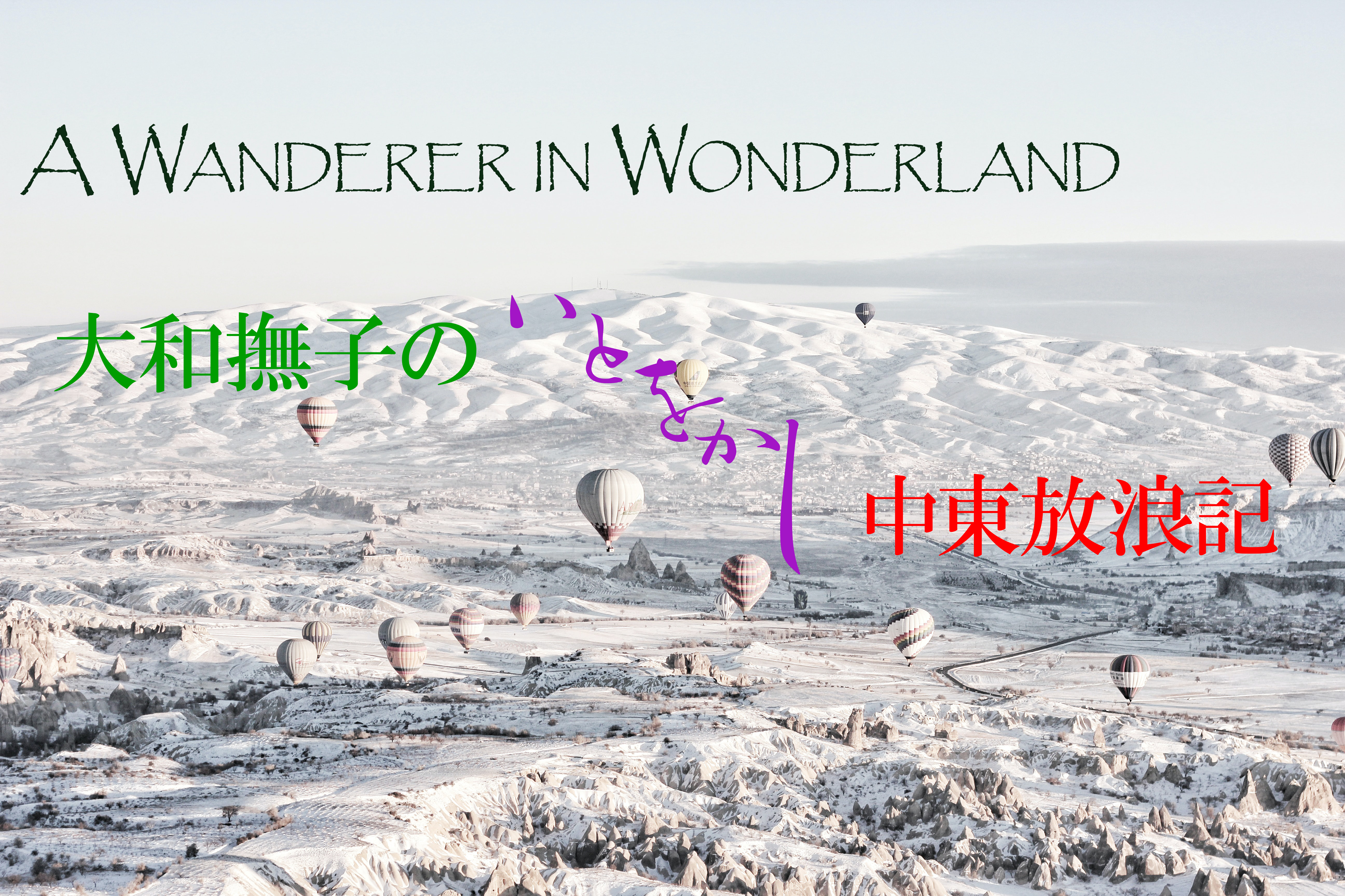 A Wanderer in Wonderland - 大和撫子のいとをかし中東放浪記
